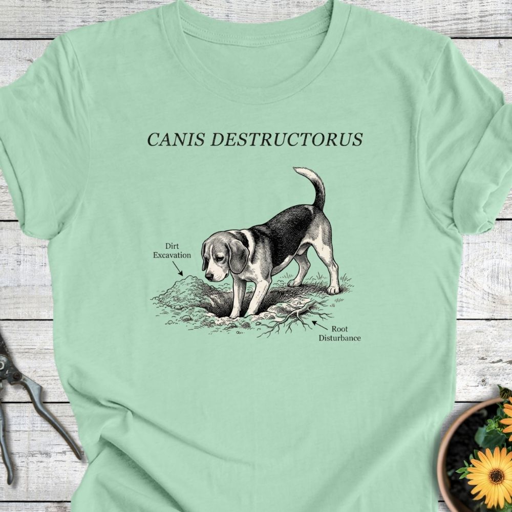 Printify T-Shirt Mint / S Destructorus T-Shirt