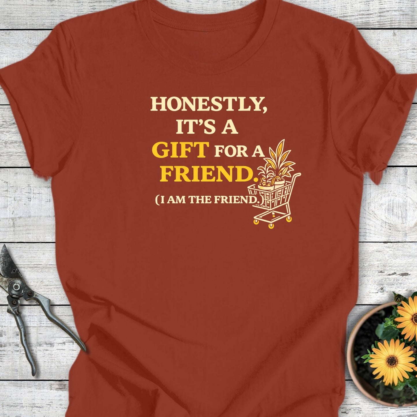 Printify T-Shirt Rust / S It's a Gift T-Shirt