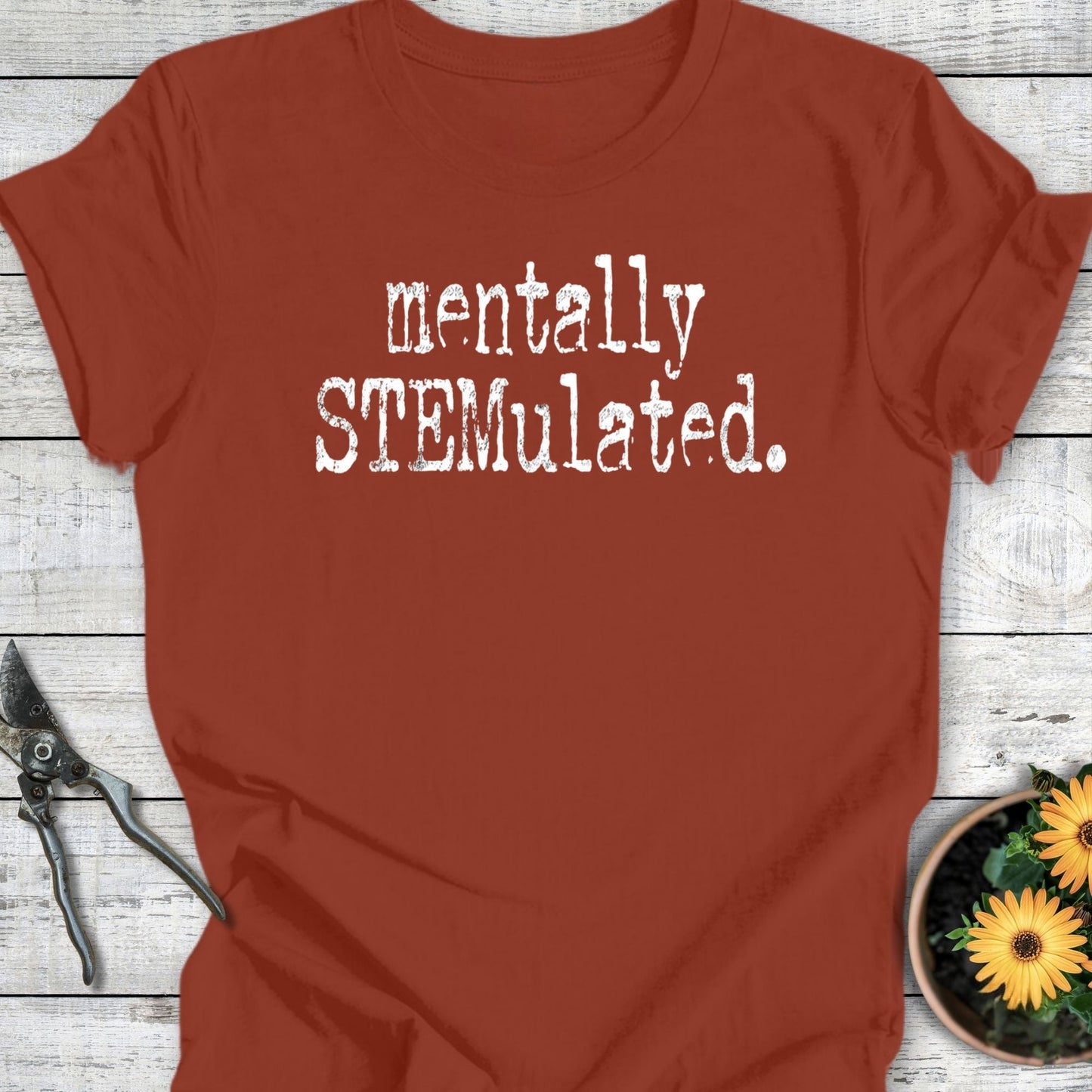 Printify T-Shirt Rust / S Stemulated T-Shirt