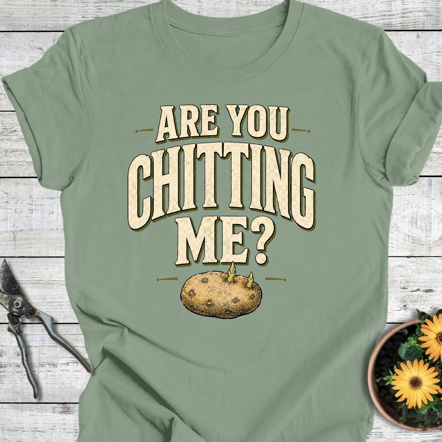 Printify T-Shirt Sage / S Are You Chitting Me T-Shirt