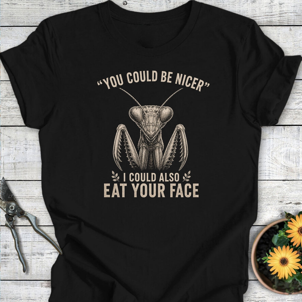 Could Be Nicer T-Shirt