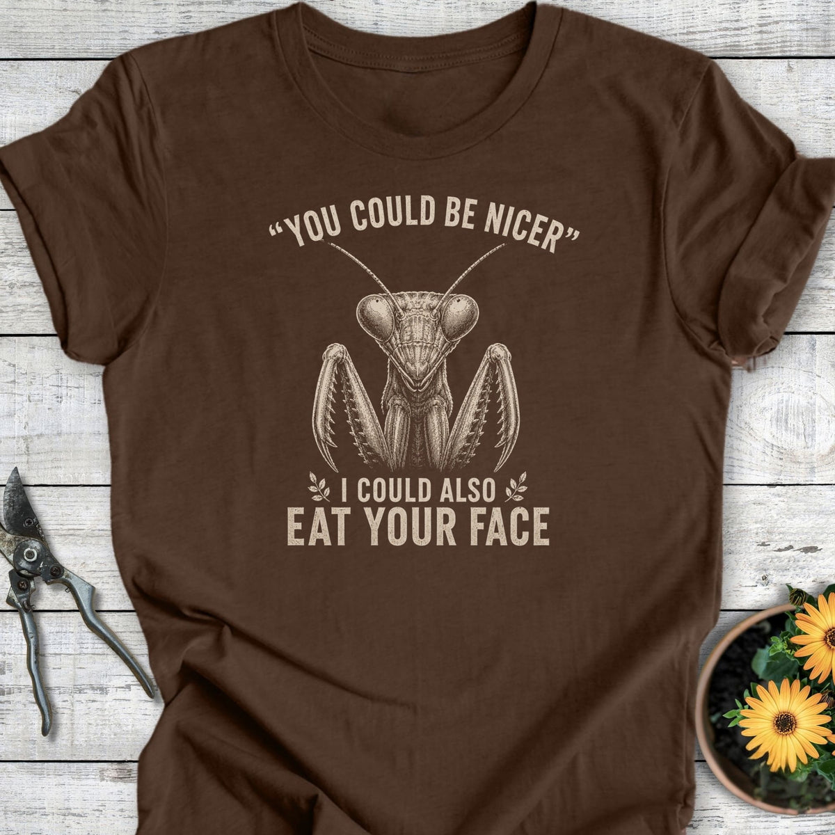Could Be Nicer T-Shirt