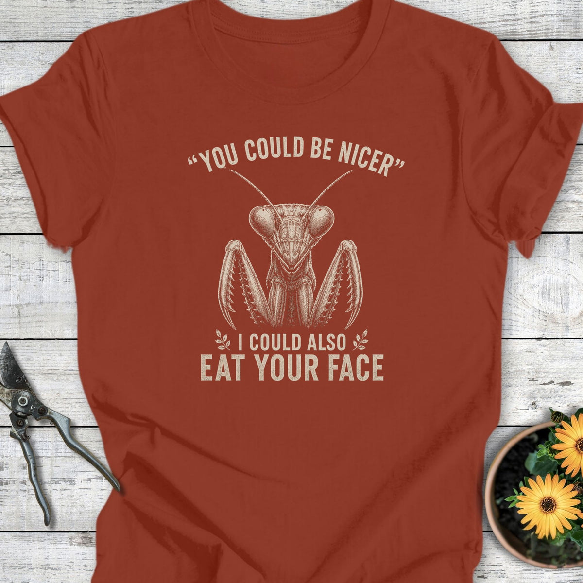 Could Be Nicer T-Shirt