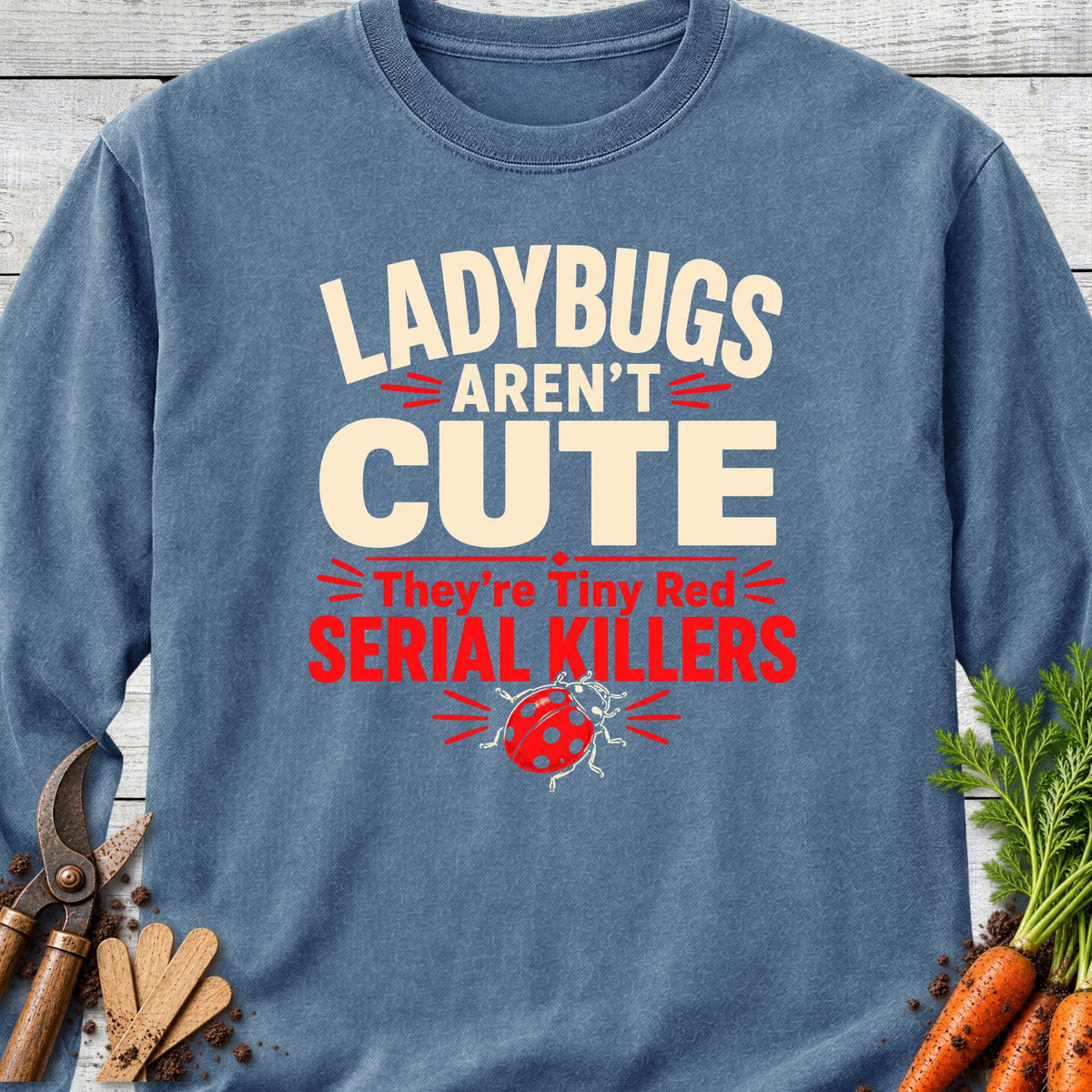 Printify Long Sleeve Blue Jean / S Ladybugs Long Sleeve