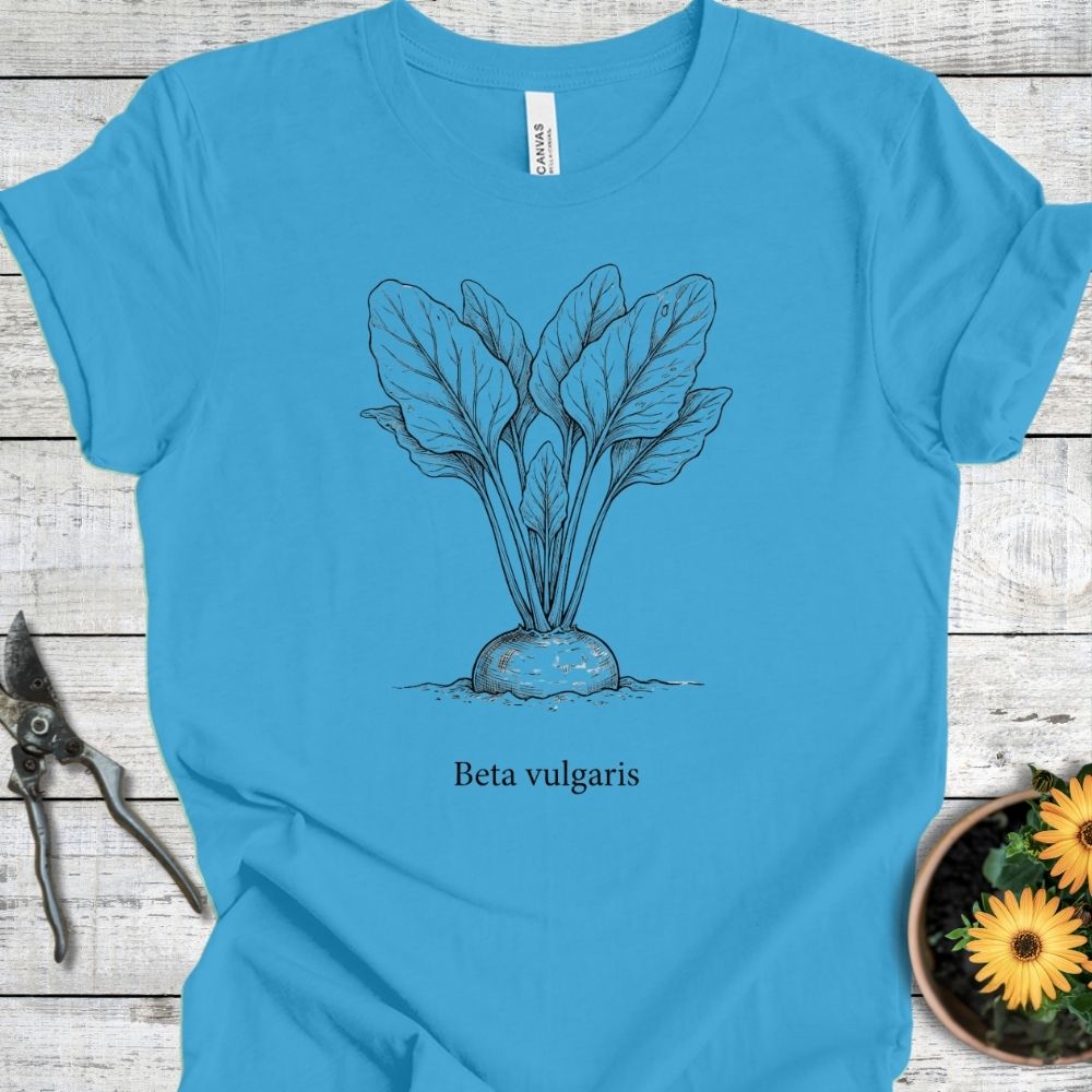 Printify T-Shirt Aqua / S Beta Valgaris T-Shirt