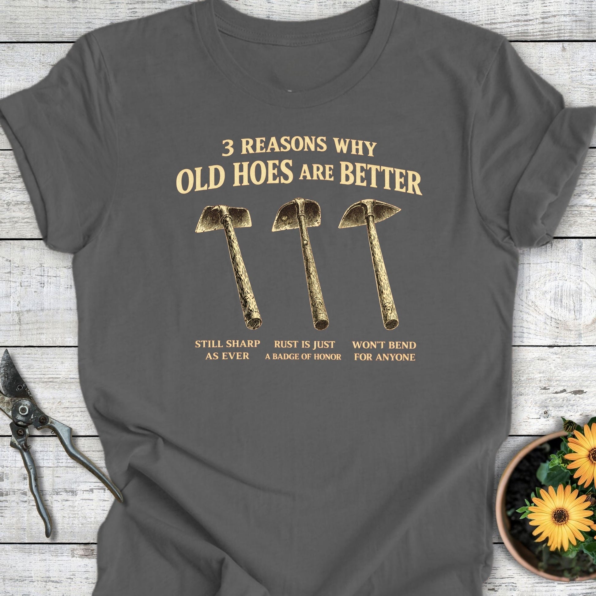 Printify T-Shirt Asphalt / S 3 Reasons T-Shirt