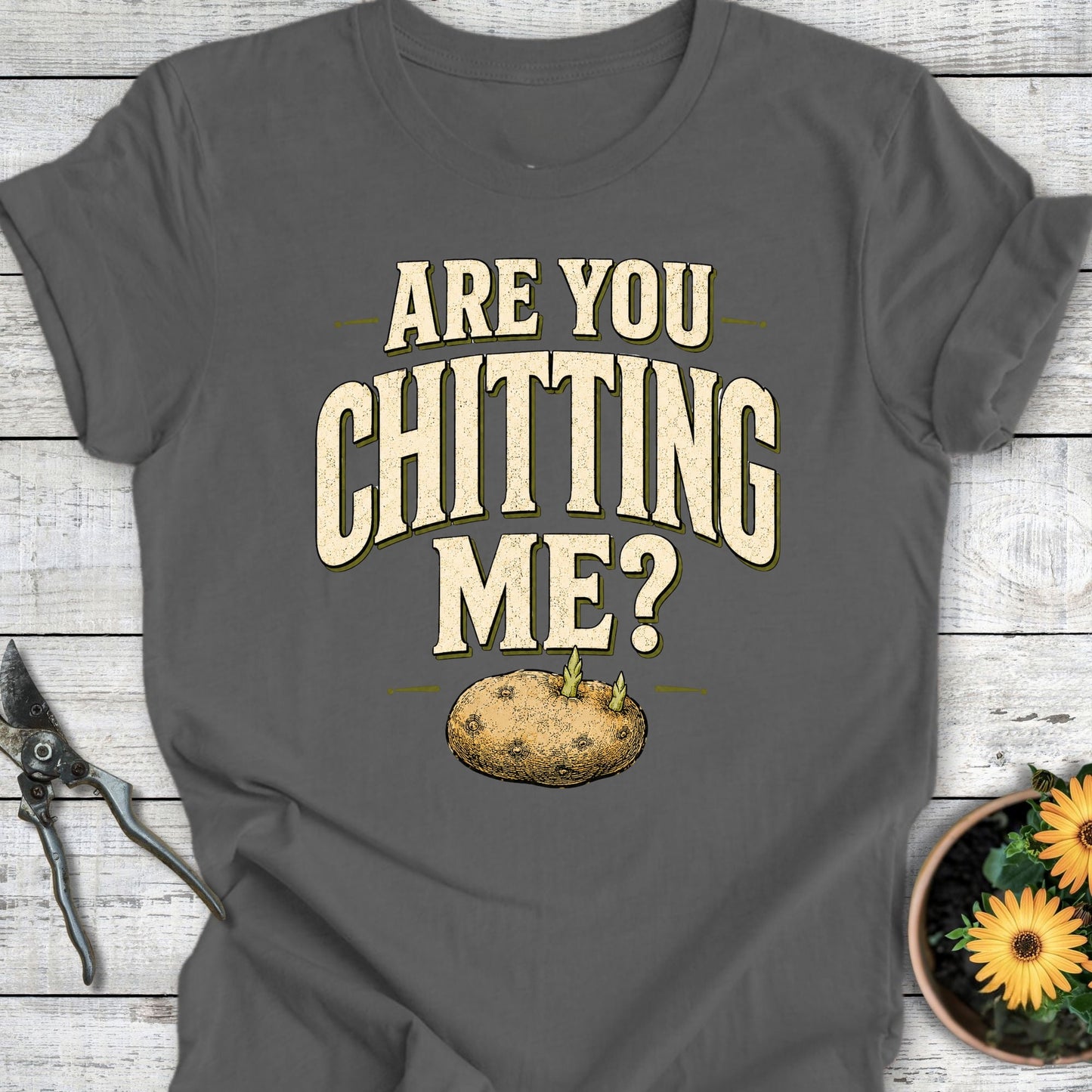 Printify T-Shirt Asphalt / S Are You Chitting Me T-Shirt