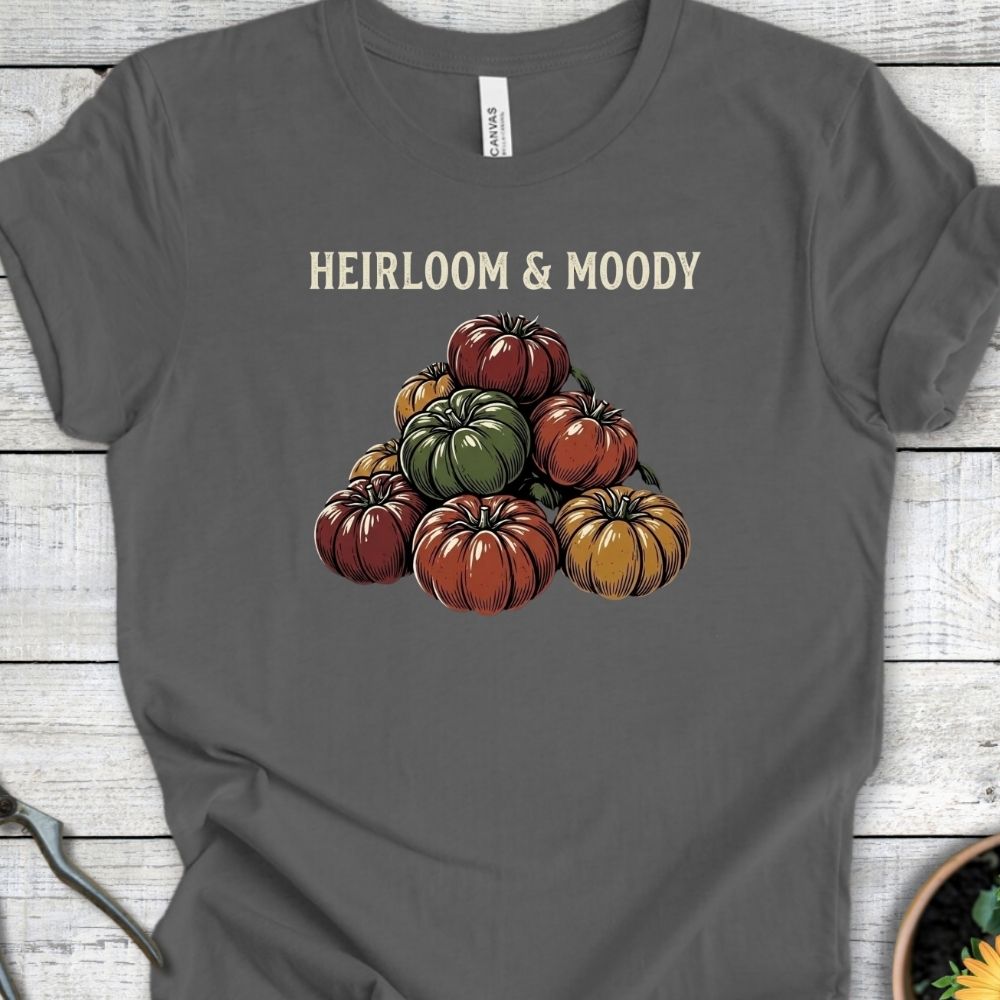 Printify T-Shirt Asphalt / S Heirloom & Moody T-Shirt