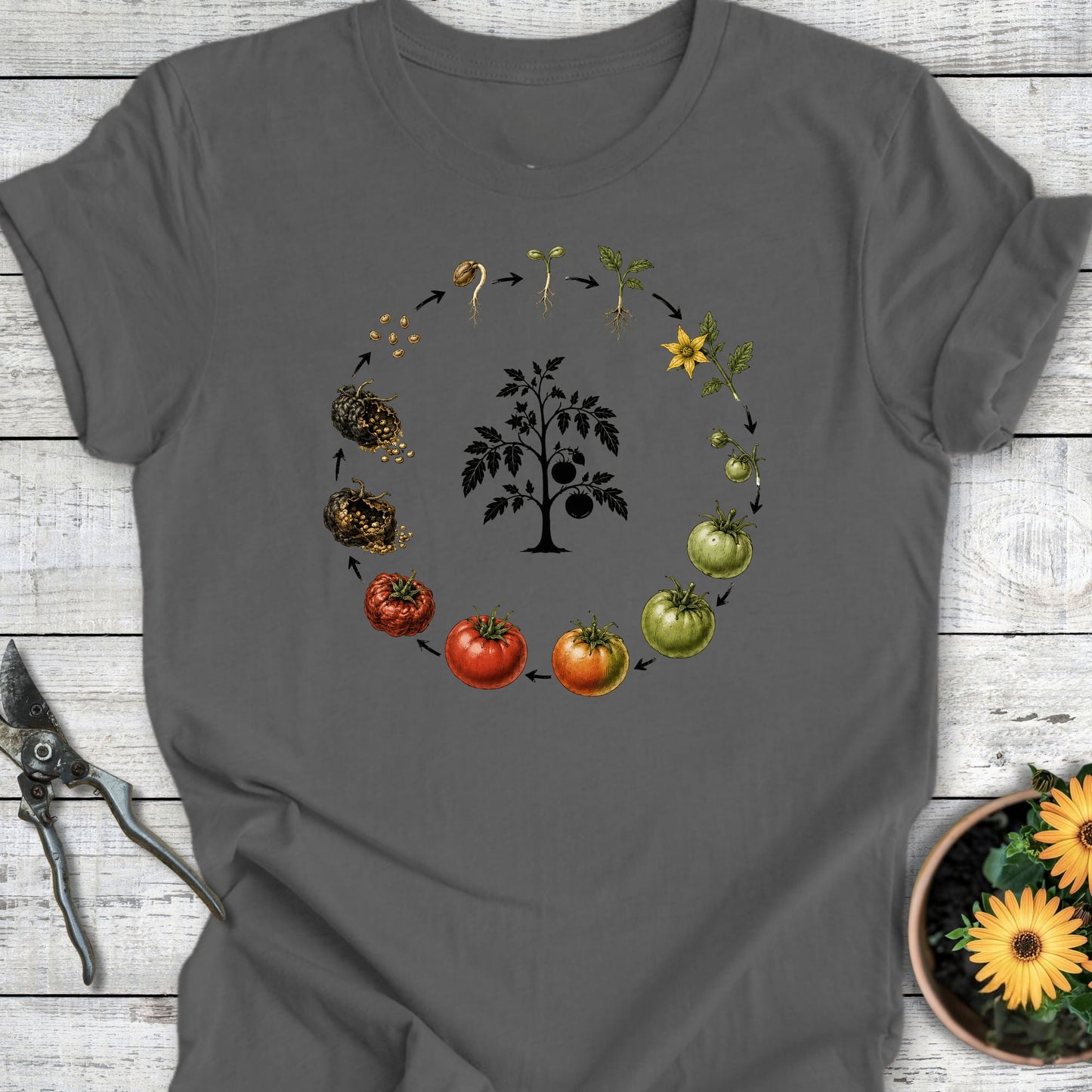 Printify T-Shirt Asphalt / S Seeds of Life T-Shirt