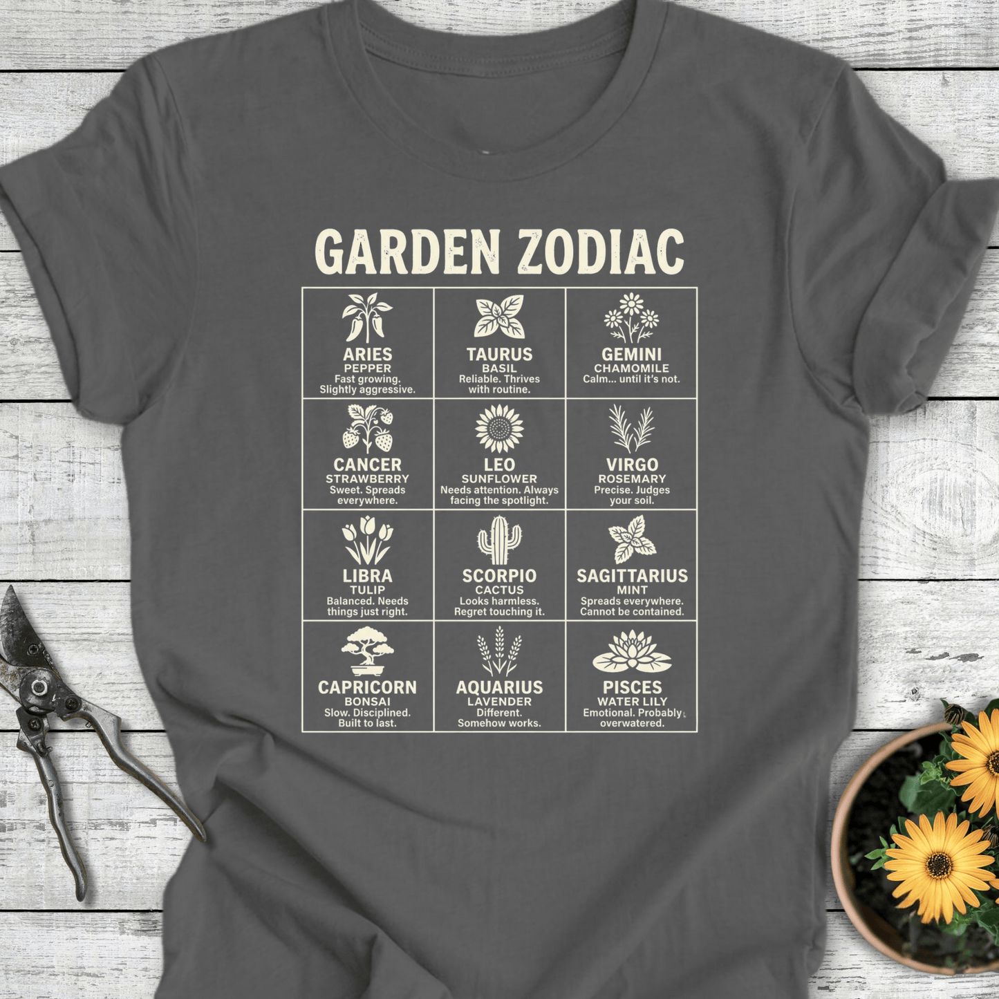 Printify T-Shirt Asphalt / S Zodiac T-Shirt