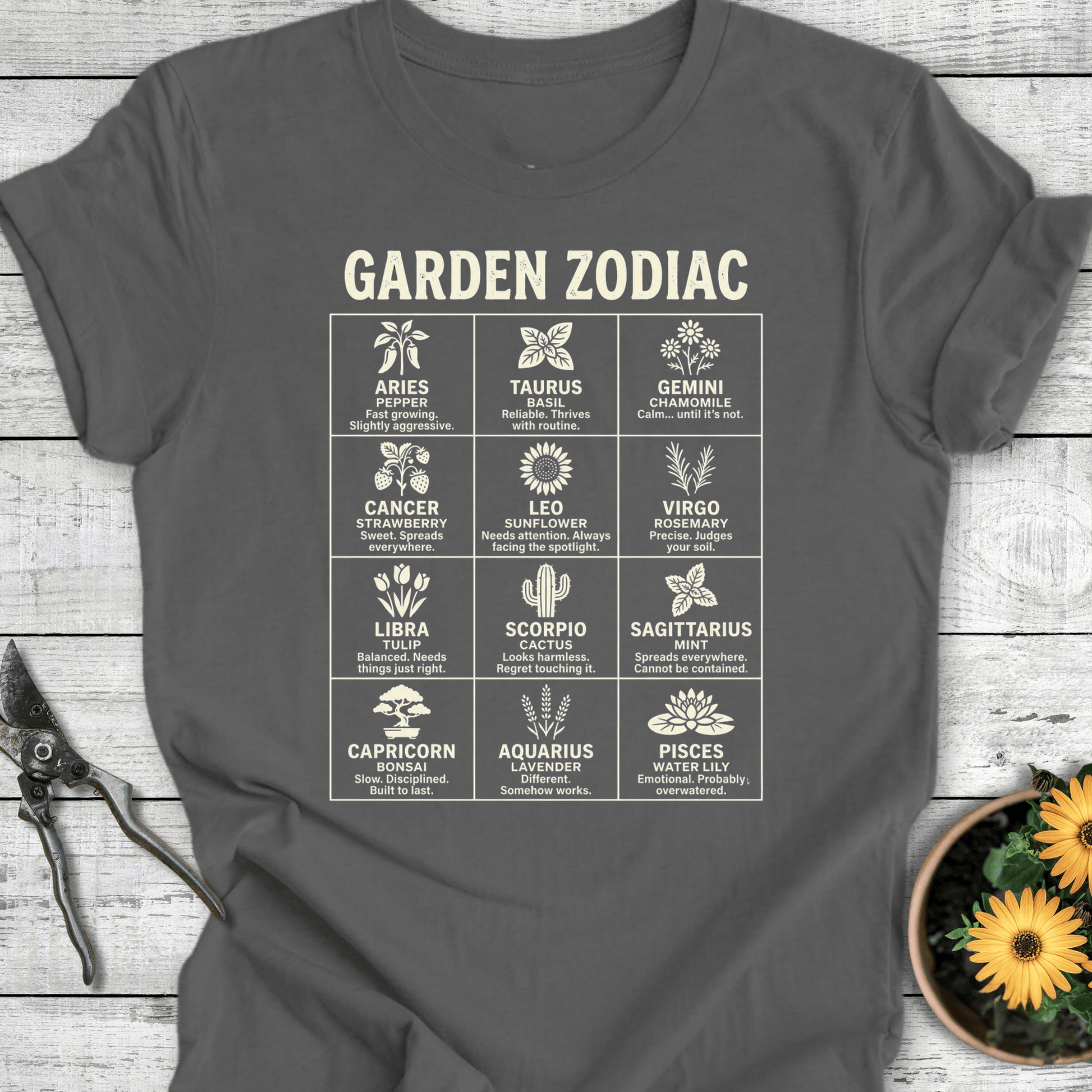 Printify T-Shirt Asphalt / S Zodiac T-Shirt