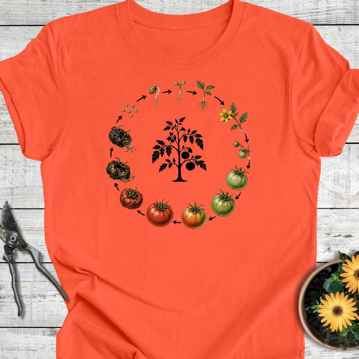 Printify T-Shirt Coral / S Seeds of Life T-Shirt