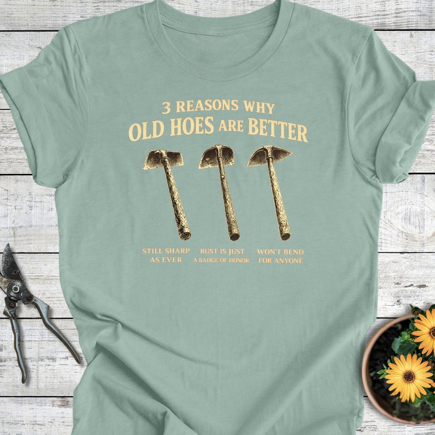 Printify T-Shirt Dusty Blue / S 3 Reasons T-Shirt