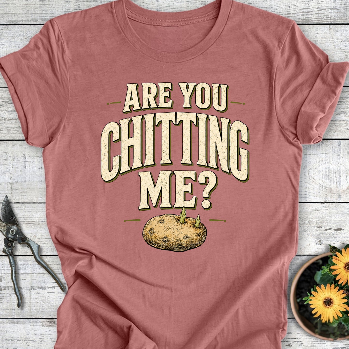 Printify T-Shirt Heather Mauve / S Are You Chitting Me T-Shirt
