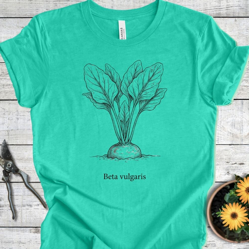 Printify T-Shirt Heather Sea Green / S Beta Valgaris T-Shirt