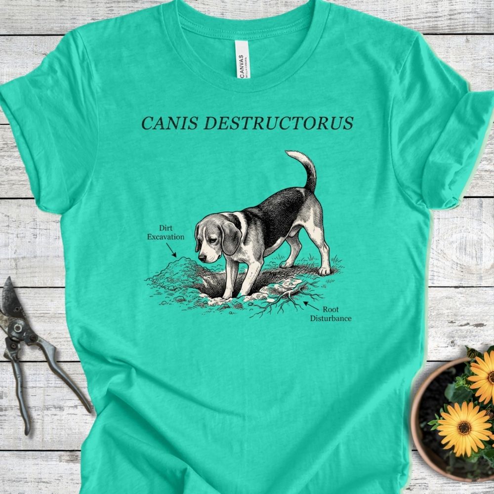 Printify T-Shirt Heather Sea Green / S Destructorus T-Shirt